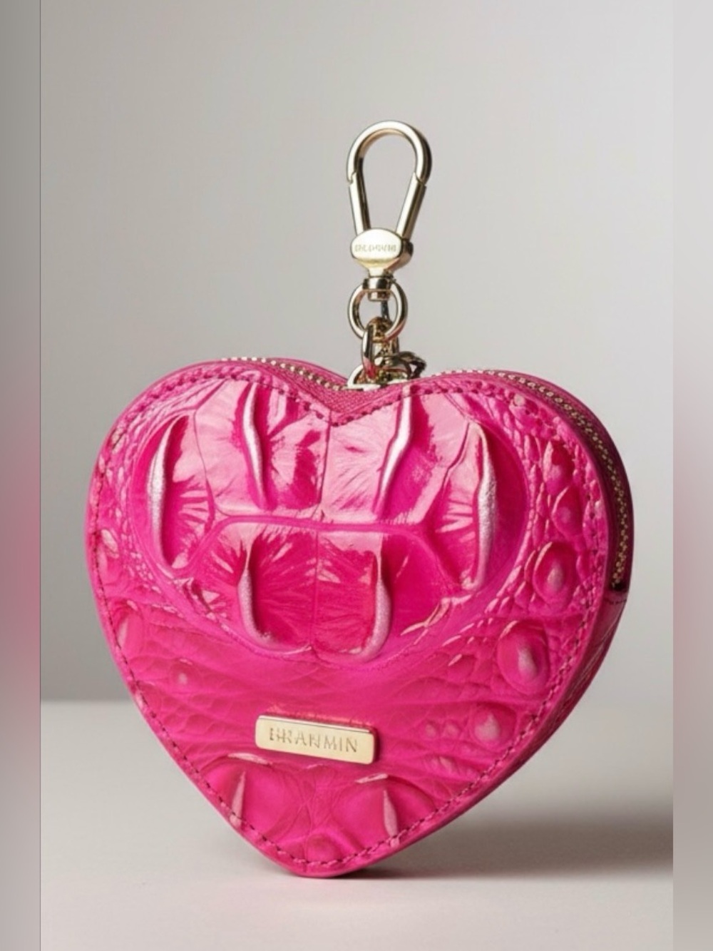 Brahmin Affection Ombre Genuine Leather Heart Pouch NWT